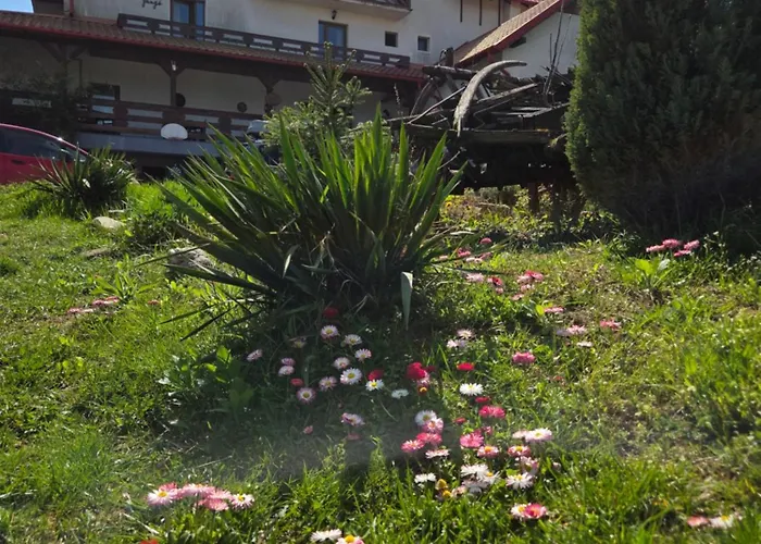 Panorama Cehu Silvaniei