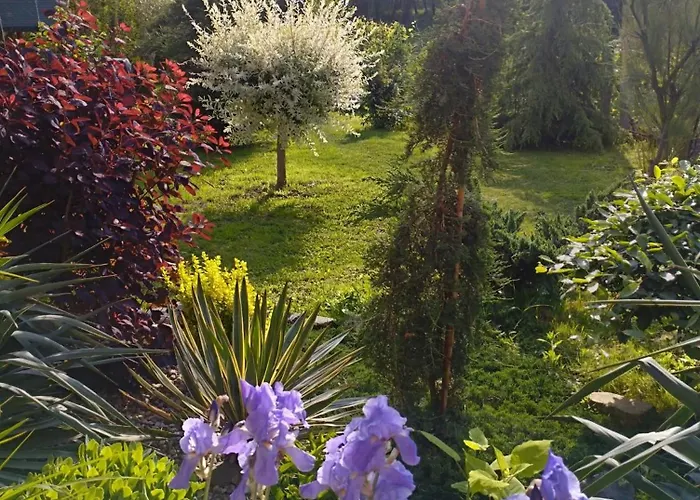 Pensiunea Agroturistica Primavara